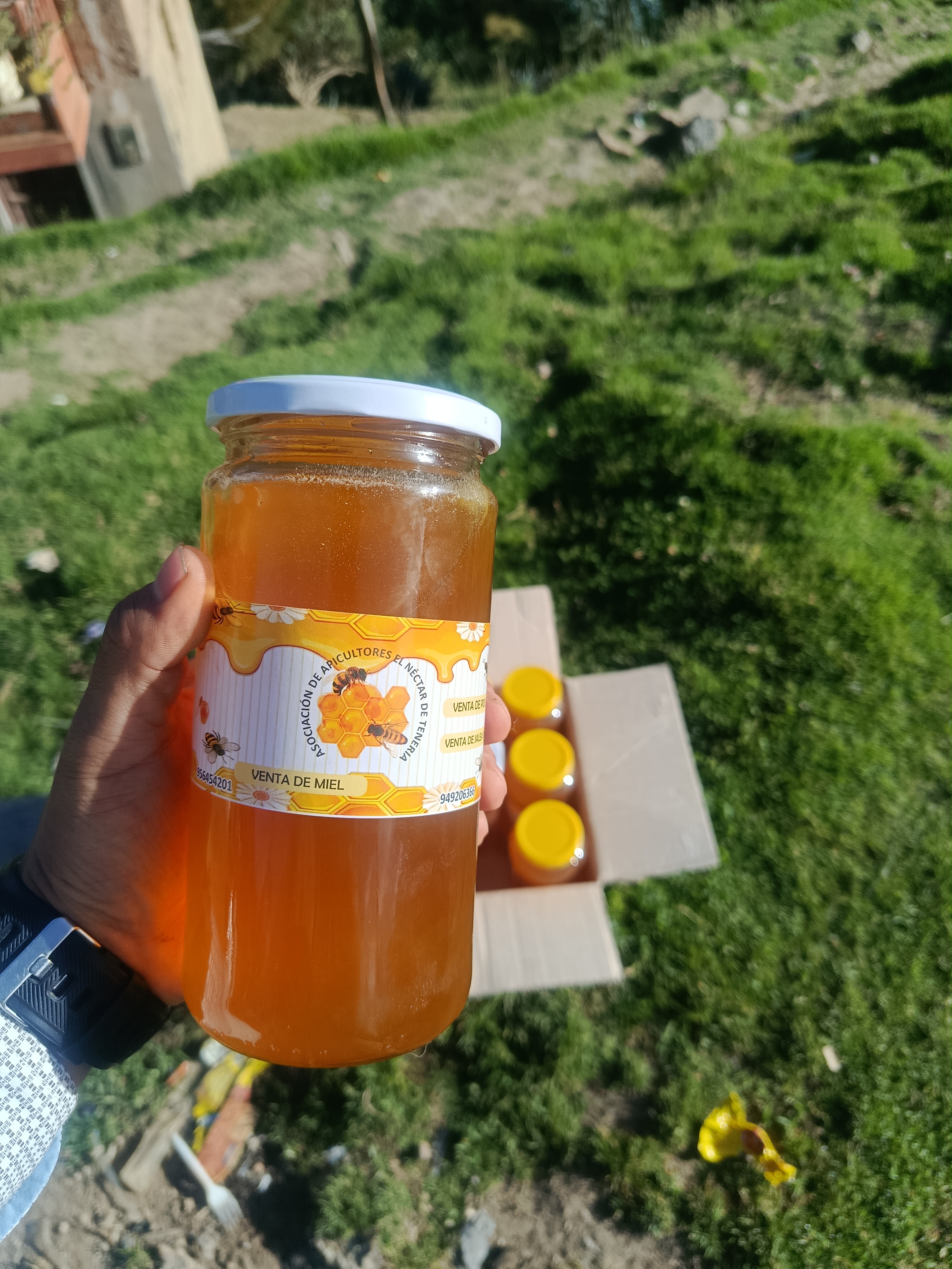 Miel Multifloral