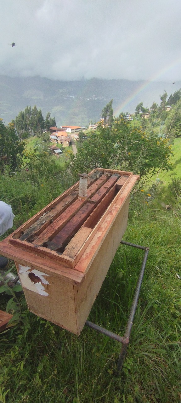 Panorama bonito