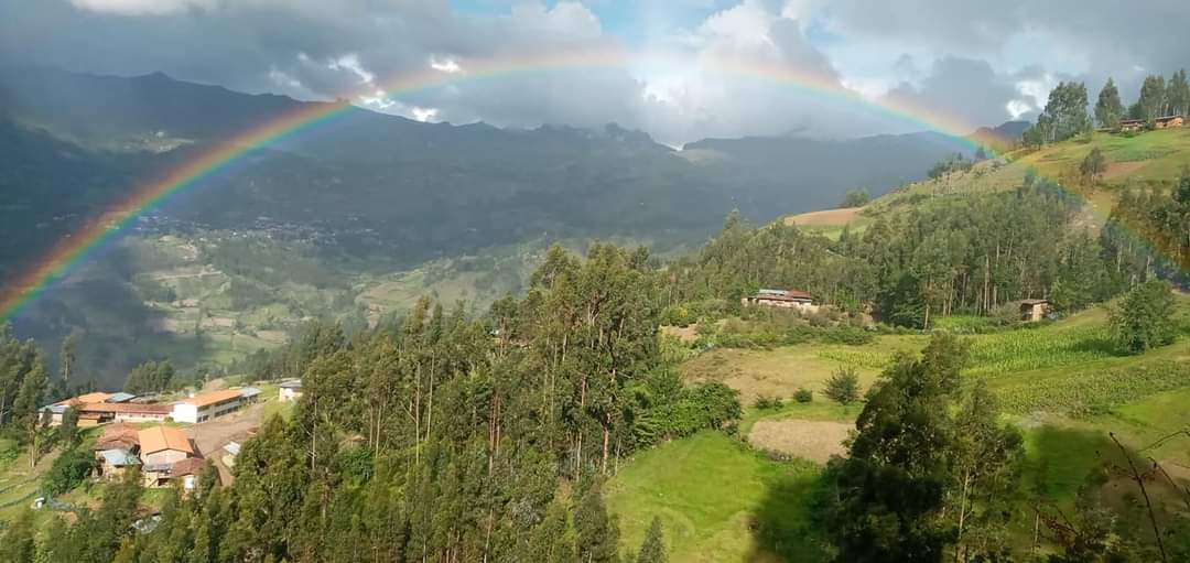 Bonita vista del apiario