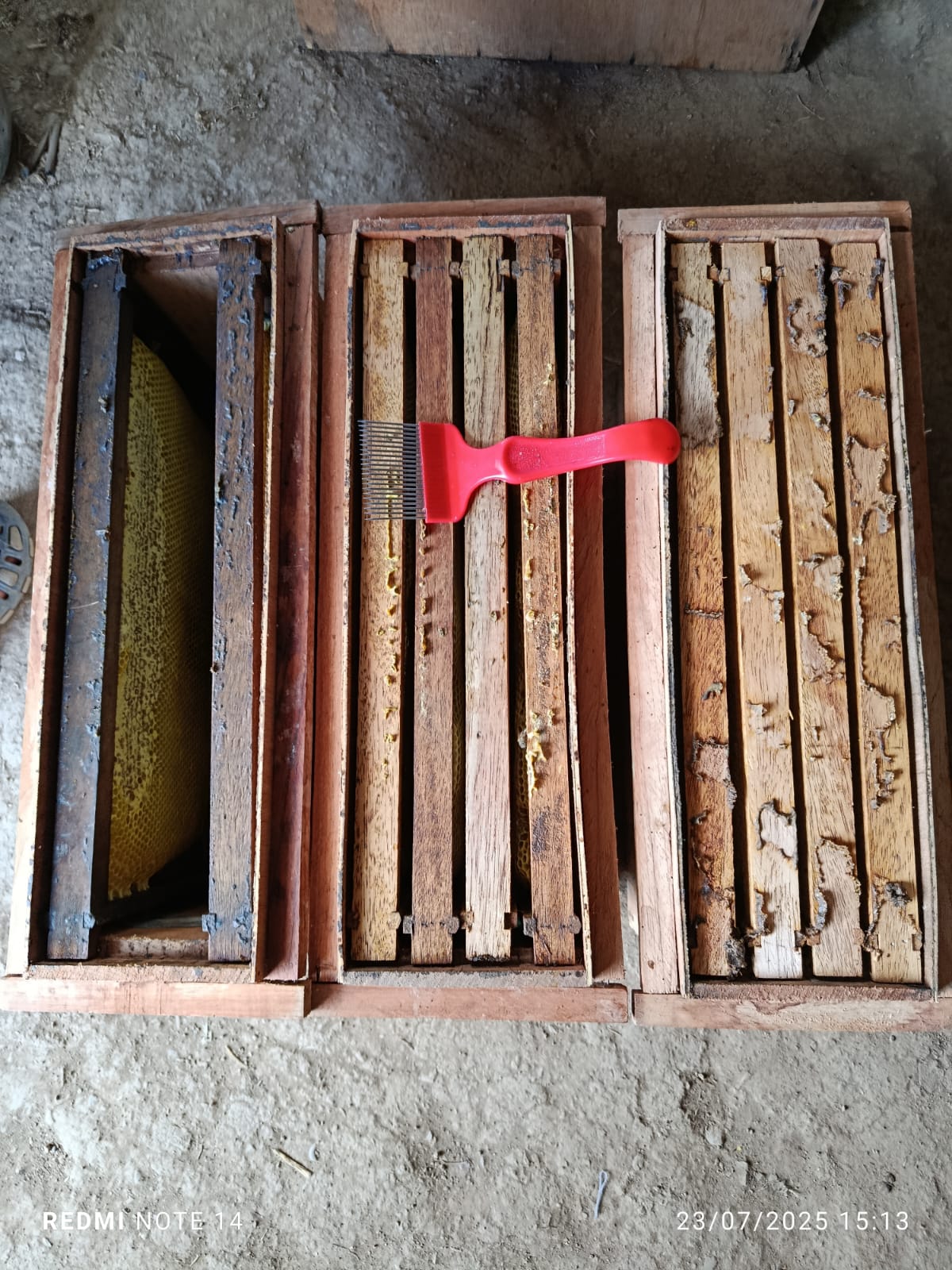 Cuadros operculados