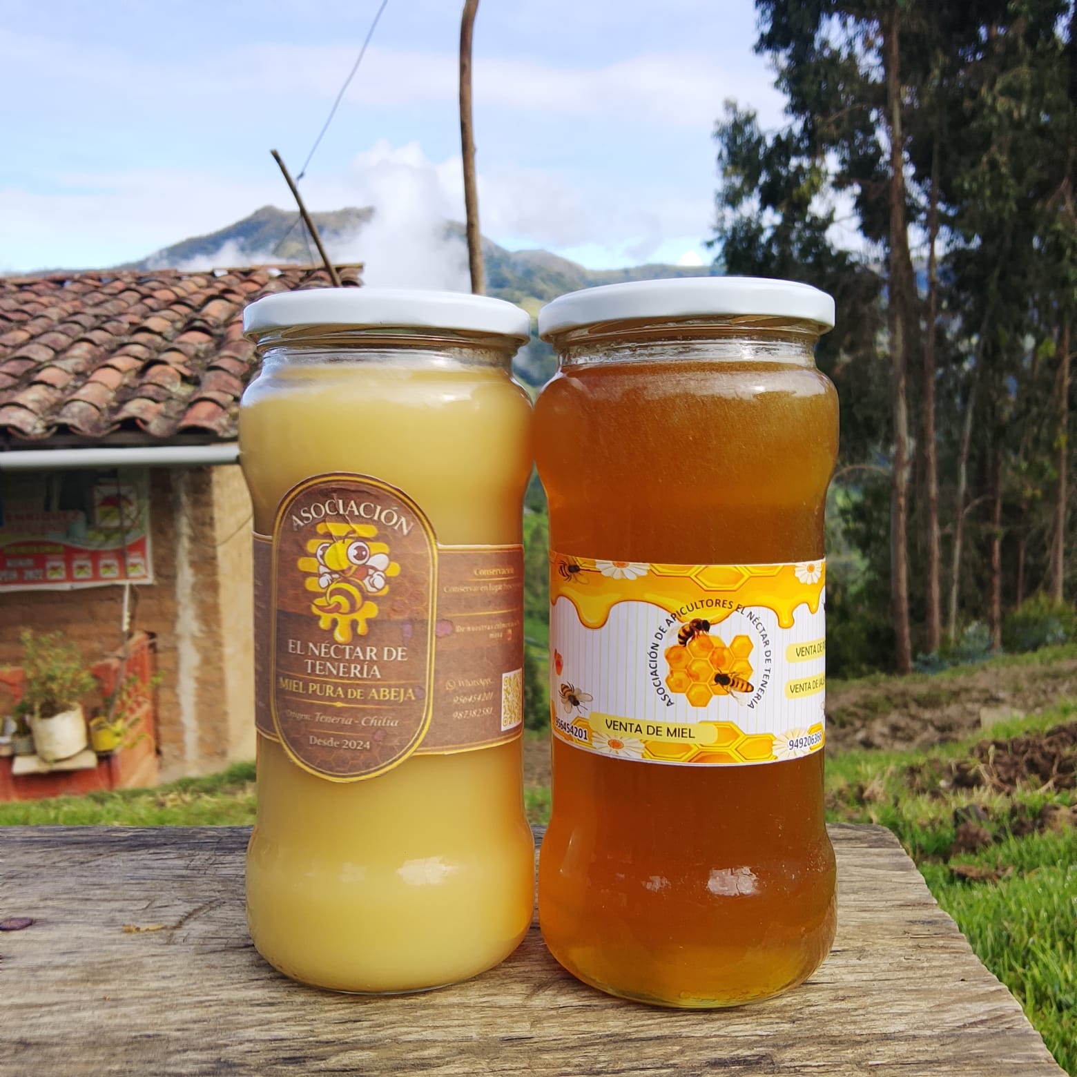 Miel con Jengibre