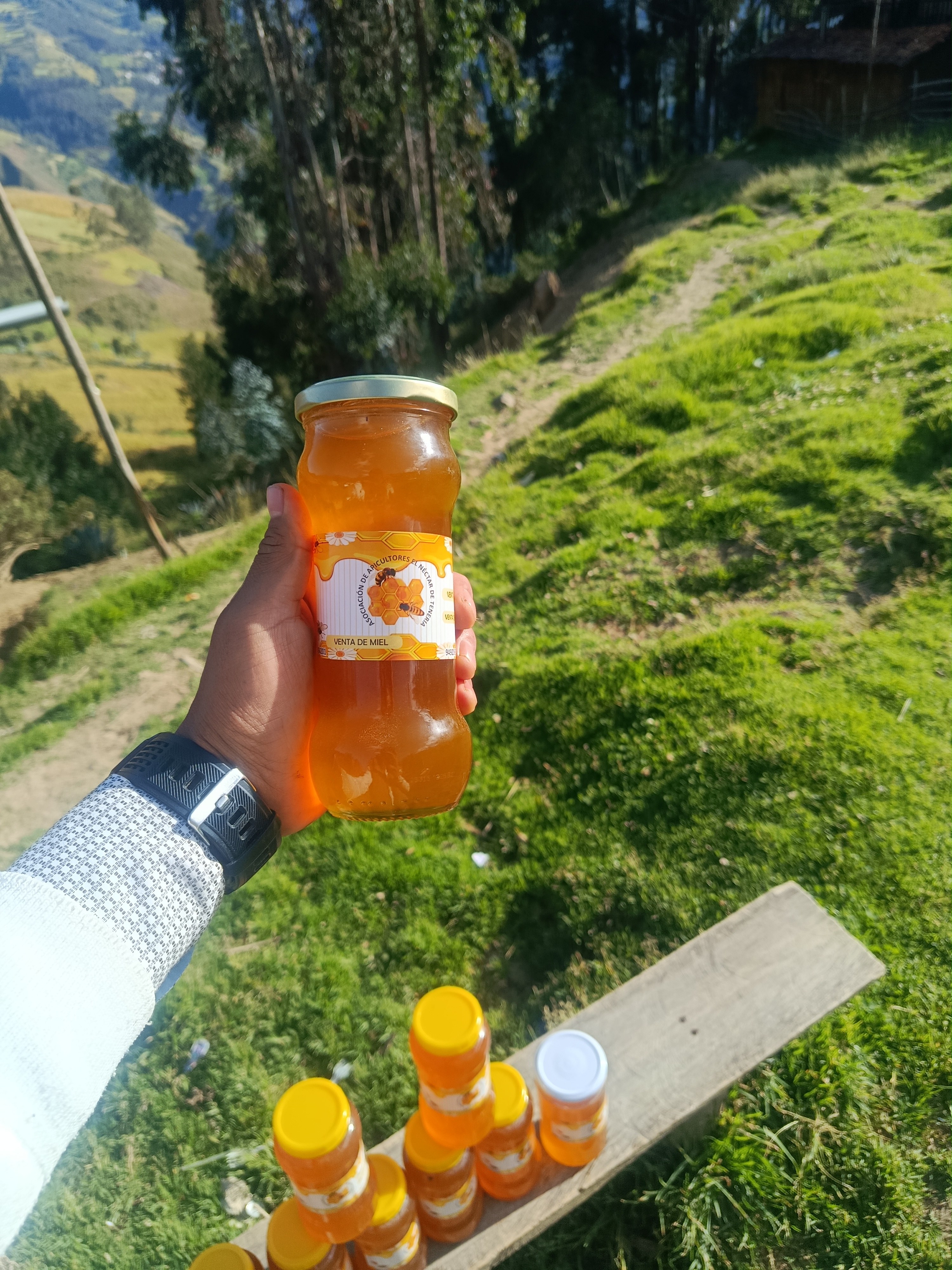 Miel multifloral